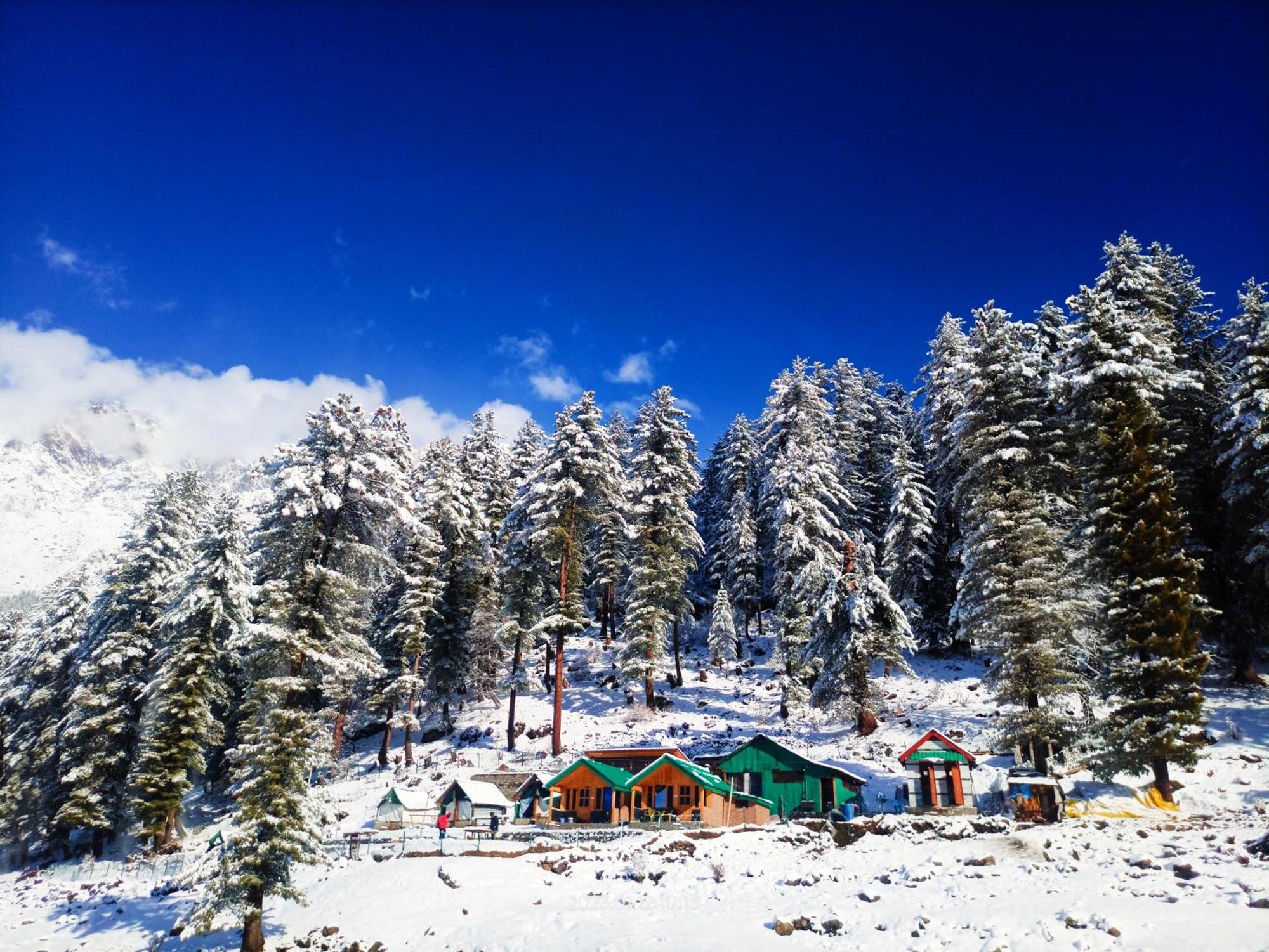 Singing Woods Kutla Hotel Kullu Exterior photo